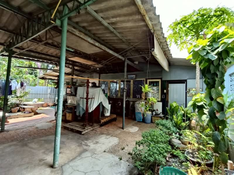 ใกล้ตลาดถนอมมิตร ซอยวัชรพลแยก 1/1, Bangkok, Tha Rang, Bang Khen, Bangkok, , 400 sqm, Land For Sale, by คุณ ณิชาภัทร พลอยแดง (นิว), 500474453 - DDproperty.com