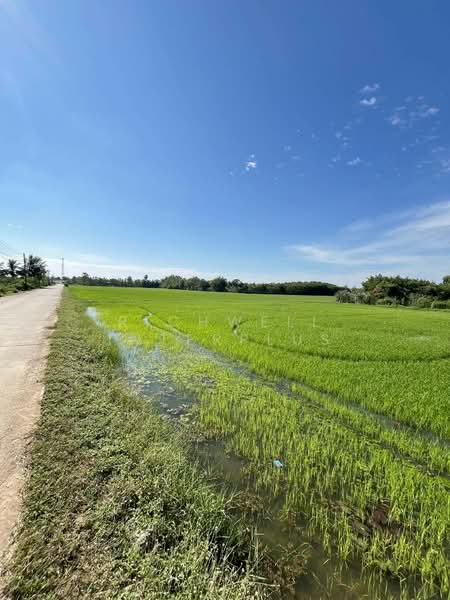 Land for sale in Nong Bua, 11 rai, Don Sinon Soi 2, near Road 3304 - 1 km, Chachoengsao, Nong Bua, Ban Pho, Chachoengsao, , 19,184 sqm, Land For Sale, by RICHWELL INTERPLUS, 500474461 - DDproperty.com