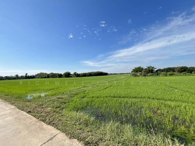 ขายที่ดินหนองบัว 11 ไร่ ดอนสีนนท์ซอย2 ใกล้ถนนเส้น3304-1กม. อ.บ้านโพธิ์, ฉะเชิงเทรา, หนองบัว, บ้านโพธิ์, ฉะเชิงเทรา, 19,184 ตร.ม., ที่ดิน ขาย, โดย RICHWELL INTERPLUS, 500474461 - DDproperty.com