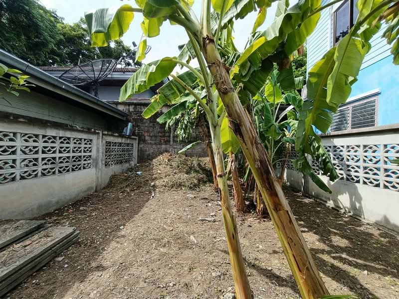 วัชรพล, Bangkok, Tha Rang, Bang Khen, Bangkok, , 125 sqm, Land For Sale, by คุณ ณิชาภัทร พลอยแดง (นิว), 500474467 - DDproperty.com