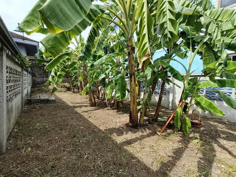 วัชรพล, Bangkok, Tha Rang, Bang Khen, Bangkok, , 125 sqm, Land For Sale, by คุณ ณิชาภัทร พลอยแดง (นิว), 500474467 - DDproperty.com