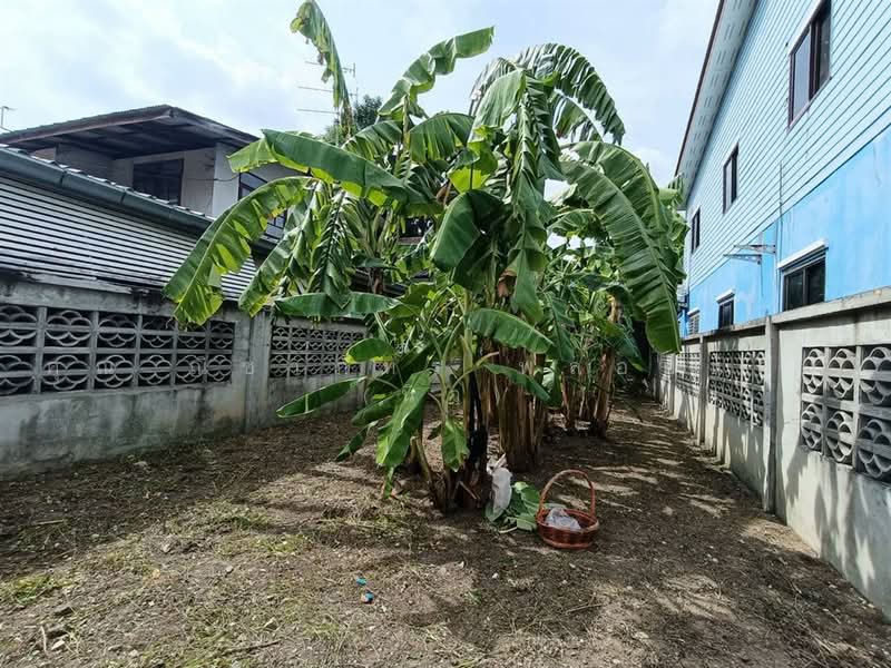 วัชรพล, Bangkok, Tha Rang, Bang Khen, Bangkok, , 125 sqm, Land For Sale, by คุณ ณิชาภัทร พลอยแดง (นิว), 500474467 - DDproperty.com