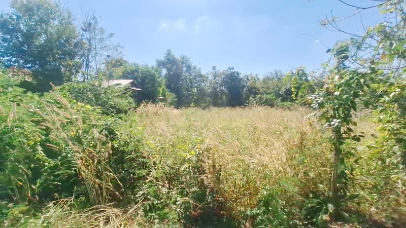 1 Rai Land For Sale Near Kut Chap, Udon Thani, Thailand, Udon Thani, Khon Yung, Kut Chap, Udon Thani, , 1,600 sqm, Land For Sale, by วีรภัทรา ดาร์เปอร์, 500474473 - DDproperty.com