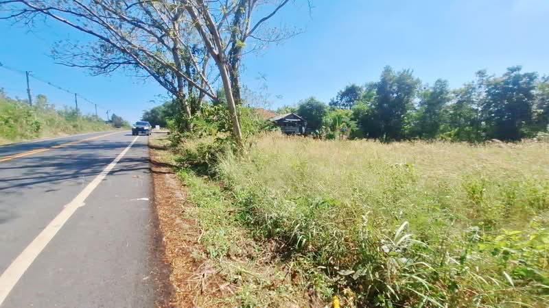 1 Rai Land For Sale Near Kut Chap, Udon Thani, Thailand, Udon Thani, Khon Yung, Kut Chap, Udon Thani, , 1,600 sqm, Land For Sale, by วีรภัทรา ดาร์เปอร์, 500474473 - DDproperty.com