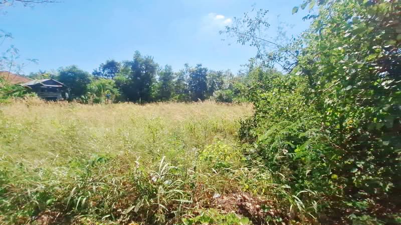 1 Rai Land For Sale Near Kut Chap, Udon Thani, Thailand, Udon Thani, Khon Yung, Kut Chap, Udon Thani, , 1,600 sqm, Land For Sale, by วีรภัทรา ดาร์เปอร์, 500474473 - DDproperty.com