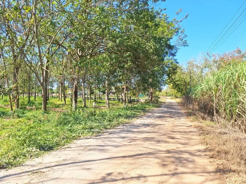 ที่ดินเปล่าสำหรับสร้างบ้านและพัฒนาในชนบท หนองวัวซอ อุดรธานี, อุดรธานี, หนองวัวซอ, อุดรธานี, 5,900 ตร.ม., ที่ดิน ขาย, โดย วีรภัทรา ดาร์เปอร์, 500474487 - DDproperty.com