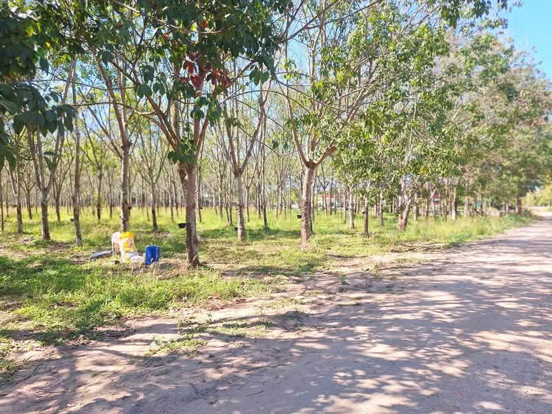 ที่ดินเปล่าสำหรับสร้างบ้านและพัฒนาในชนบท หนองวัวซอ อุดรธานี, อุดรธานี, หนองวัวซอ, อุดรธานี, 5,900 ตร.ม., ที่ดิน ขาย, โดย วีรภัทรา ดาร์เปอร์, 500474487 - DDproperty.com