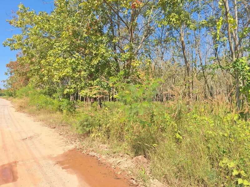 ที่ดินเปล่าสำหรับสร้างบ้านและพัฒนาในชนบท หนองวัวซอ อุดรธานี, อุดรธานี, หนองวัวซอ, อุดรธานี, 5,900 ตร.ม., ที่ดิน ขาย, โดย วีรภัทรา ดาร์เปอร์, 500474487 - DDproperty.com