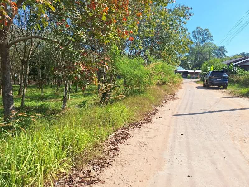 Muang Udon Thani, Udon Thani, Nong Wua So, Udon Thani, , 5,900 sqm, Land For Sale, by วีรภัทรา ดาร์เปอร์, 500474487 - DDproperty.com