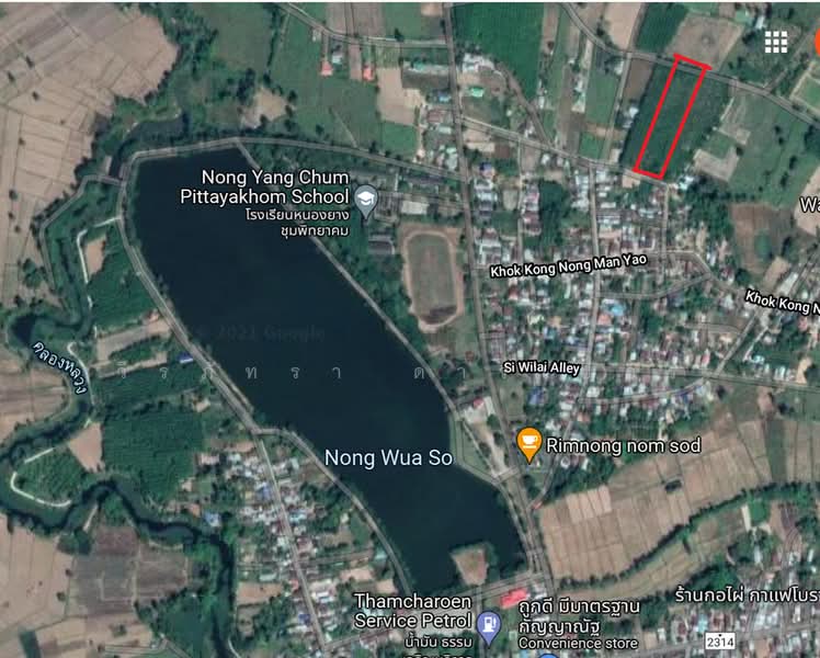 Muang Udon Thani, Udon Thani, Nong Wua So, Udon Thani, , 5,900 sqm, Land For Sale, by วีรภัทรา ดาร์เปอร์, 500474487 - DDproperty.com