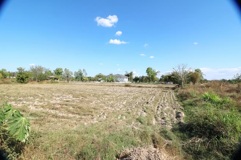 3 Rai Land for Sale in Non Sung, Udon Thani, Non Sung, Muang Udon Thani, Udon Thani, , 4,480 sqm, Land For Sale, by วีรภัทรา ดาร์เปอร์, 500474552 - DDproperty.com