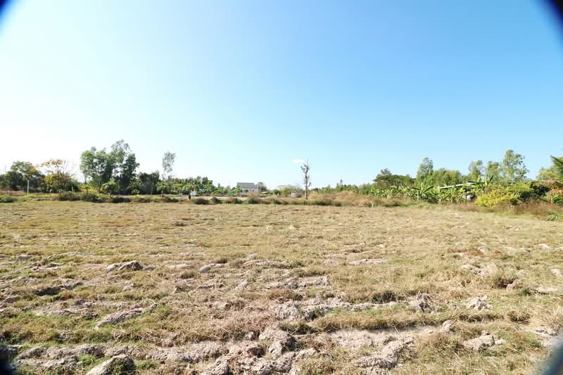 3 Rai Land for Sale in Non Sung, Udon Thani, Non Sung, Muang Udon Thani, Udon Thani, , 4,480 sqm, Land For Sale, by วีรภัทรา ดาร์เปอร์, 500474552 - DDproperty.com