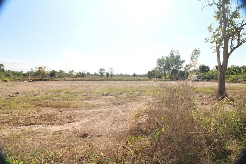 3 Rai Land for Sale in Non Sung, Udon Thani, Non Sung, Muang Udon Thani, Udon Thani, , 4,480 sqm, Land For Sale, by วีรภัทรา ดาร์เปอร์, 500474552 - DDproperty.com