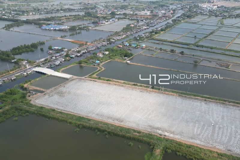 ขายที่ดิน 96 ไร่ ผังม่วงลาย เหมาะทำโรงงาน บางบ่อ สมุทรปราการ, Samut Prakan, ปานวิถี, Khlong Dan, Bang Bo, Samut Prakan, , 154,740 sqm, Land For Sale, by Saengduan Jirapattanan, 500474564 - DDproperty.com