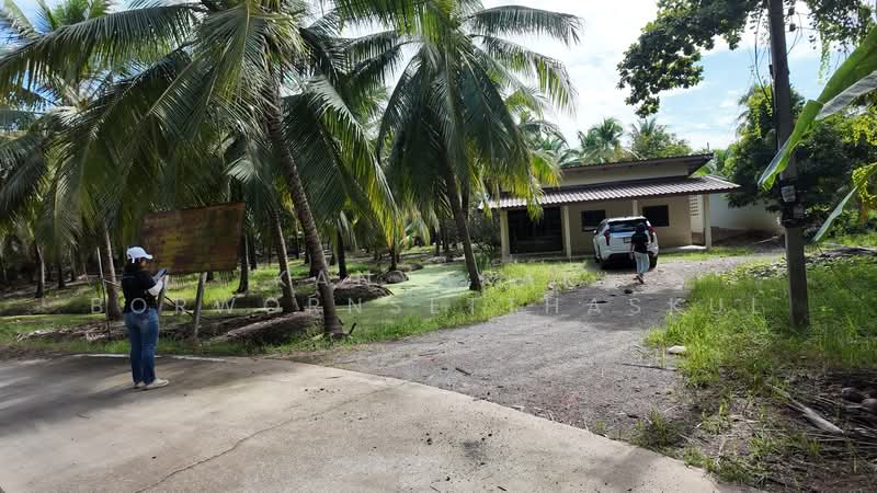 ตำบลดอนไผ่ อำเภอดำเนินสะดวก จังหวัดราชบุรี, Ratchaburi, Don Phai, Damnoen Saduak, Ratchaburi, , 6,400 sqm, Land For Sale, by Kanyarak Borwornsetthaskul, 500474585 - DDproperty.com
