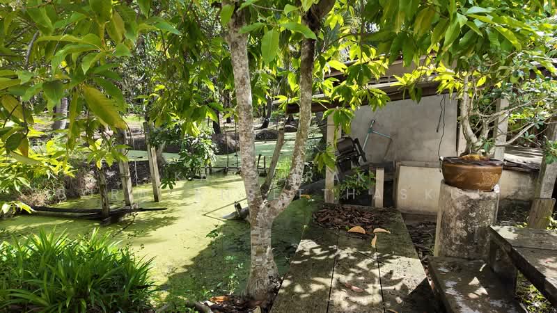 ตำบลดอนไผ่ อำเภอดำเนินสะดวก จังหวัดราชบุรี, Ratchaburi, Don Phai, Damnoen Saduak, Ratchaburi, , 6,400 sqm, Land For Sale, by Kanyarak Borwornsetthaskul, 500474585 - DDproperty.com