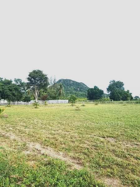 Land for sale at Khao Chi Chan-shaded with mountain views. Size: 1 Rai. (1,600 sq.m.) near Chee Chan, Chon Buri (Pattaya), เขาชีจรรย์, Na Chom Thian, Sattahip, Chon Buri (Pattaya), , 1,600 sqm, Land For Sale, by Saimaii Russiphat, 500474629 - DDproperty.com