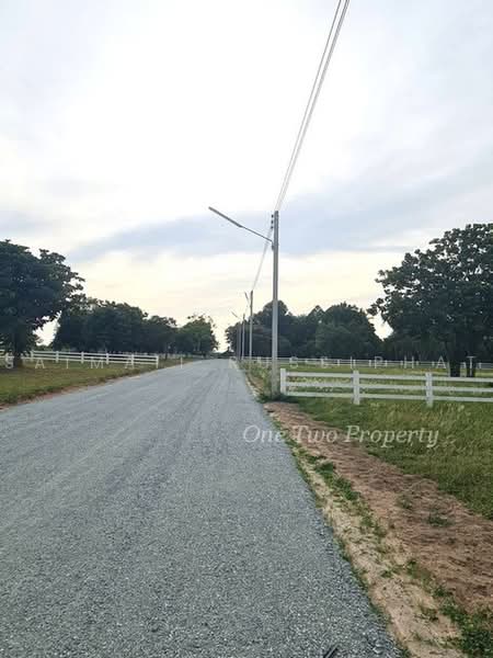 Land for sale at Khao Chi Chan-shaded with mountain views. Size: 1 Rai. (1,600 sq.m.) near Chee Chan, Chon Buri (Pattaya), เขาชีจรรย์, Na Chom Thian, Sattahip, Chon Buri (Pattaya), , 1,600 sqm, Land For Sale, by Saimaii Russiphat, 500474629 - DDproperty.com