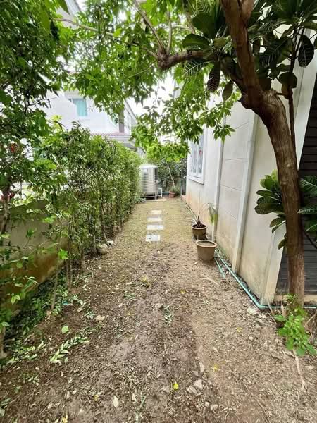 Newly renovated House, Chiang Mai, Nong Harn, San Sai, Chiang Mai, 3 Bedrooms, 150 sqm, Single Detached House For Sale, by Pharita Chaimanee, 500474691 - DDproperty.com