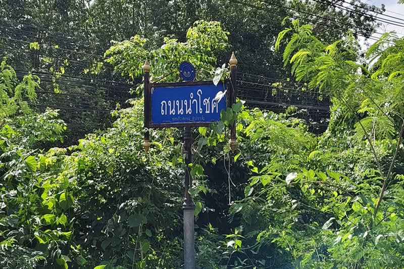 ที่ดินต้นยางพารา (พร้อมกรีด) เนื้อที่ 2-0-80 ไร่ วังจันทร์-ระยอง ใกล้เทศบาลตำบลชุมแสง, Rayong, Plong Ta Iam, Wang Chan, Rayong, , 3,520 sqm, Land For Sale, by ชนะชาติ นนท์ตา, 500474703 - DDproperty.com