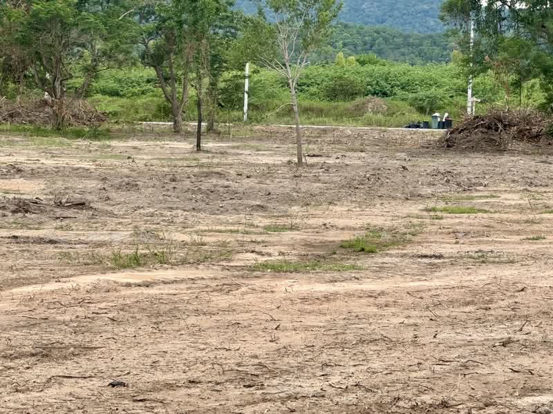 Land 12 rai (4.9 acre) facing Phetkasem Road (Highway 4) 10 km to Hua Hin city, Phetchaburi, เพชรเกษม (ทางหลวง 4), Cha-am, Cha-Am, Phetchaburi, , 19,512 sqm, Land For Sale, by Jirapan Siripraiwan, 500474784 - DDproperty.com