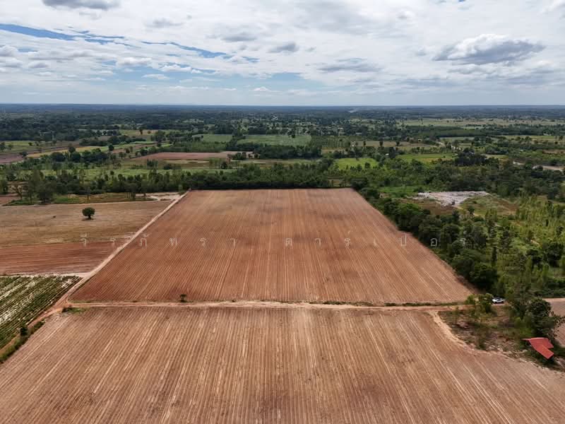 30 Rai Agricultural Land Opportunity Nong Han, Udon Thani, Don Hai Sok, Nong Han, Udon Thani, , 48,268 sqm, Land For Sale, by วีรภัทรา ดาร์เปอร์, 500474849 - DDproperty.com