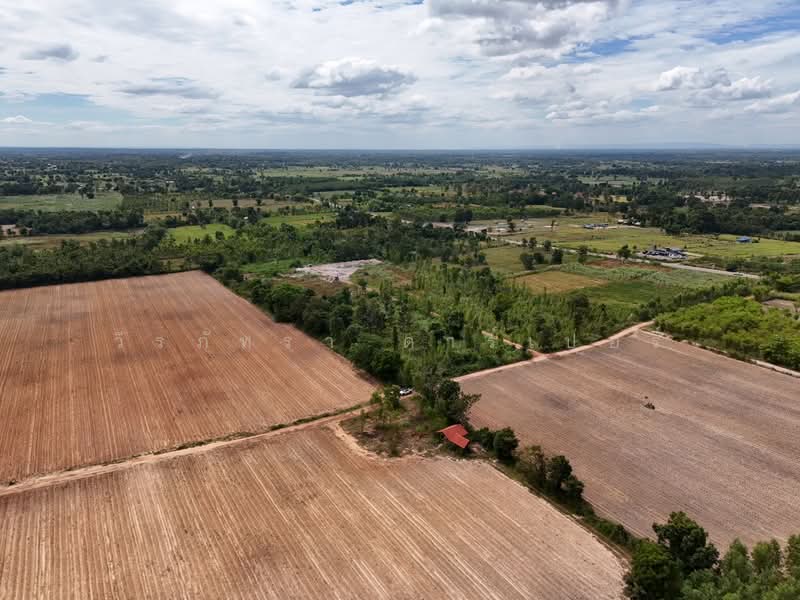 30 Rai Agricultural Land Opportunity Nong Han, Udon Thani, Don Hai Sok, Nong Han, Udon Thani, , 48,268 sqm, Land For Sale, by วีรภัทรา ดาร์เปอร์, 500474849 - DDproperty.com