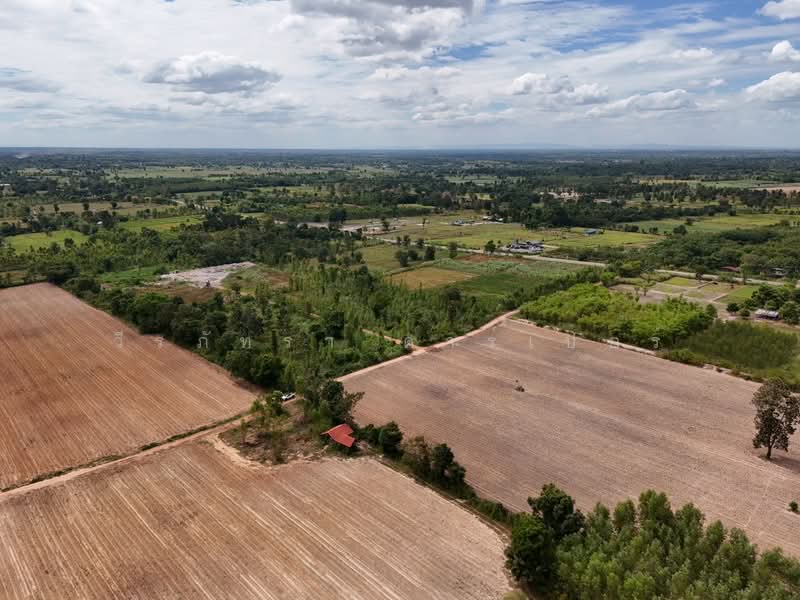 30 Rai Agricultural Land Opportunity Nong Han, Udon Thani, Don Hai Sok, Nong Han, Udon Thani, , 48,268 sqm, Land For Sale, by วีรภัทรา ดาร์เปอร์, 500474849 - DDproperty.com