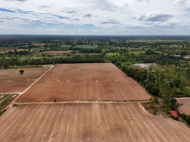 30 Rai Agricultural Land Opportunity Nong Han, Udon Thani, Don Hai Sok, Nong Han, Udon Thani, , 48,268 sqm, Land For Sale, by วีรภัทรา ดาร์เปอร์, 500474849 - DDproperty.com