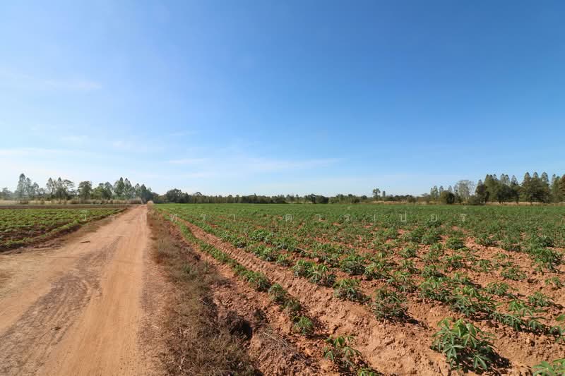 30 Rai Agricultural Land Opportunity Nong Han, Udon Thani, Don Hai Sok, Nong Han, Udon Thani, , 48,268 sqm, Land For Sale, by วีรภัทรา ดาร์เปอร์, 500474849 - DDproperty.com