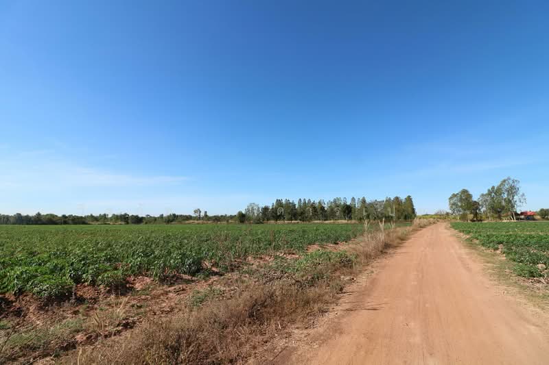 30 Rai Agricultural Land Opportunity Nong Han, Udon Thani, Don Hai Sok, Nong Han, Udon Thani, , 48,268 sqm, Land For Sale, by วีรภัทรา ดาร์เปอร์, 500474849 - DDproperty.com
