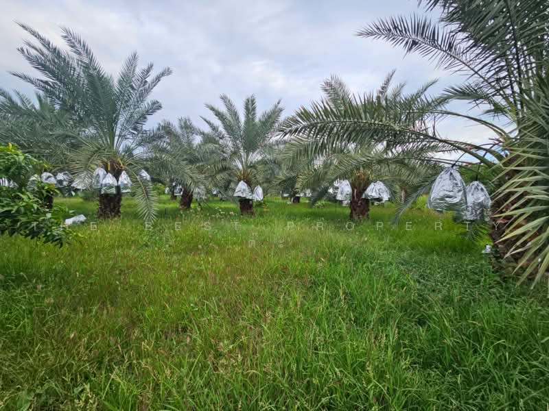 บ้านเดี่ยวพร้อมที่ดินโคกสำโรง ลพบุรี, Lop Buri, Lum Khaow, Khok Samrong, Lop Buri, 2 Bedrooms, 100 sqm, Single Detached House For Sale, by The Best Property ต๊ะ, 500474879 - DDproperty.com