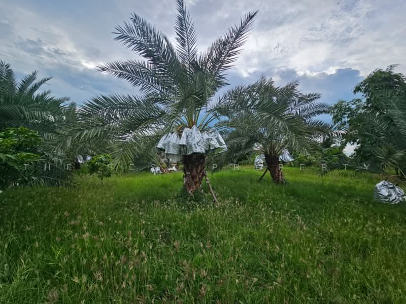 บ้านเดี่ยวพร้อมที่ดินโคกสำโรง ลพบุรี, Lop Buri, Lum Khaow, Khok Samrong, Lop Buri, 2 Bedrooms, 100 sqm, Single Detached House For Sale, by The Best Property ต๊ะ, 500474879 - DDproperty.com