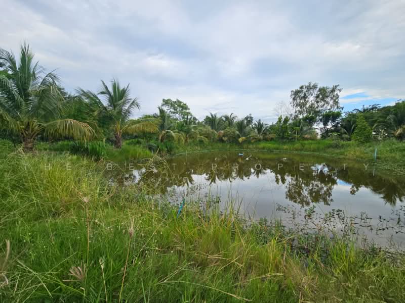 บ้านเดี่ยวพร้อมที่ดินโคกสำโรง ลพบุรี, Lop Buri, Lum Khaow, Khok Samrong, Lop Buri, 2 Bedrooms, 100 sqm, Single Detached House For Sale, by The Best Property ต๊ะ, 500474879 - DDproperty.com