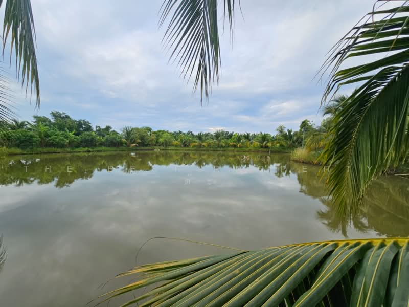 บ้านเดี่ยวพร้อมที่ดินโคกสำโรง ลพบุรี, ลพบุรี, หลุมข้าว, โคกสำโรง, ลพบุรี, 100 ตร.ม., บ้านเดี่ยว ขาย, โดย The Best Property ต๊ะ, 500474879 - DDproperty.com