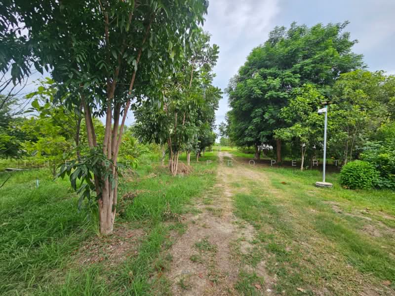 บ้านเดี่ยวพร้อมที่ดินโคกสำโรง ลพบุรี, ลพบุรี, หลุมข้าว, โคกสำโรง, ลพบุรี, 100 ตร.ม., บ้านเดี่ยว ขาย, โดย The Best Property ต๊ะ, 500474879 - DDproperty.com