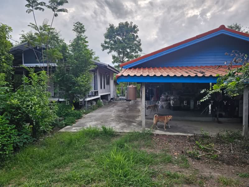 บ้านเดี่ยวพร้อมที่ดินโคกสำโรง ลพบุรี, Lop Buri, Lum Khaow, Khok Samrong, Lop Buri, 2 Bedrooms, 100 sqm, Single Detached House For Sale, by The Best Property ต๊ะ, 500474879 - DDproperty.com