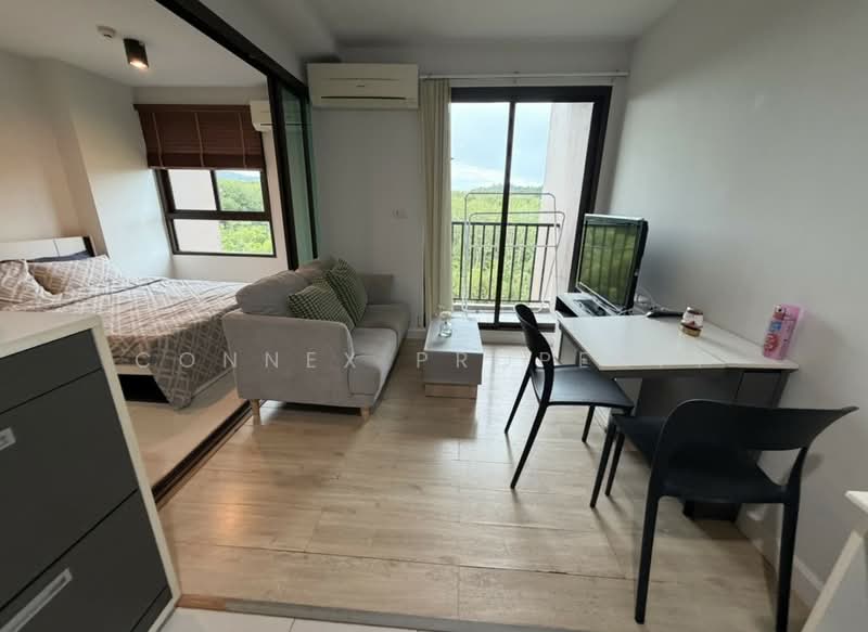 Zcape 3, Phuket, Thep Krasattri Road, Wichit, Muang Phuket, Phuket, 1 Bedroom, 28 sqm, Condo For Rent, by Connex Property, 500474883 - DDproperty.com