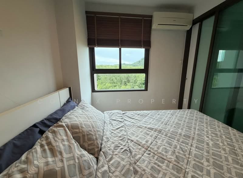 Zcape 3, Phuket, Thep Krasattri Road, Wichit, Muang Phuket, Phuket, 1 Bedroom, 28 sqm, Condo For Rent, by Connex Property, 500474883 - DDproperty.com