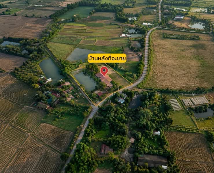 บ้านเดี่ยวพร้อมที่ดินชุมแพ ขอนแก่น, ขอนแก่น, หนองไผ่, ชุมแพ, ขอนแก่น, 1,100 ตร.ม., บ้านเดี่ยว ขาย, โดย The Best Property นก, 500474884 - DDproperty.com