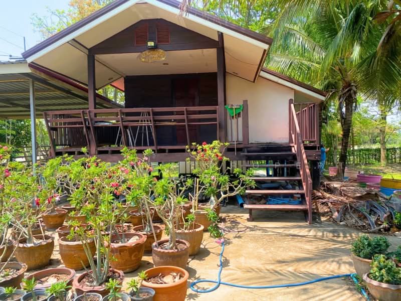 บ้านเดี่ยวพร้อมที่ดินชุมแพ ขอนแก่น, ขอนแก่น, หนองไผ่, ชุมแพ, ขอนแก่น, 1,100 ตร.ม., บ้านเดี่ยว ขาย, โดย The Best Property นก, 500474884 - DDproperty.com