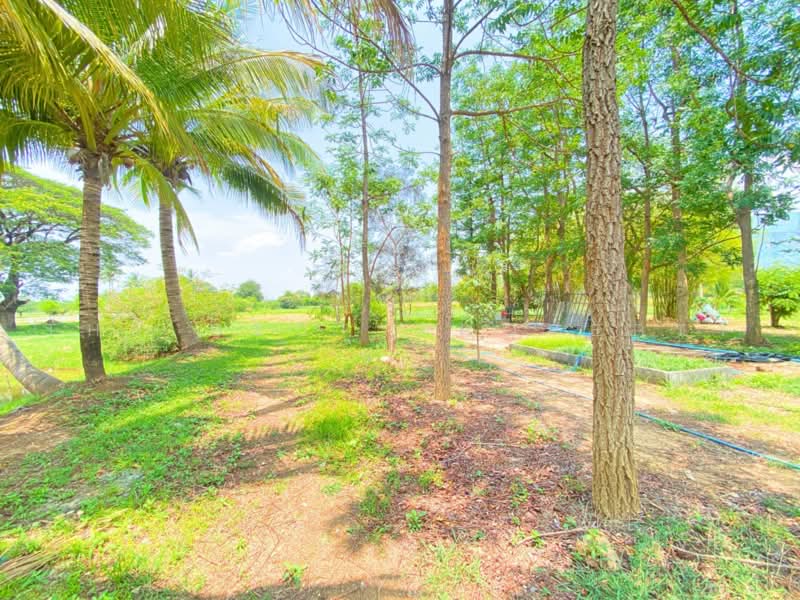 บ้านเดี่ยวพร้อมที่ดินชุมแพ ขอนแก่น, Khon Kaen, Nong Phai, Chum Phae, Khon Kaen, 8 Bedrooms, 1,100 sqm, Single Detached House For Sale, by The Best Property นก, 500474884 - DDproperty.com