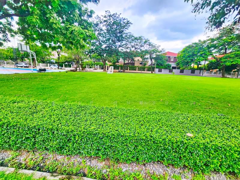 ไม่พบโครงการ, กรุงเทพ, สุขาภิบาล 5 รามอินทรา, ออเงิน, สายไหม, กรุงเทพ, 320 ตร.ม., บ้านเดี่ยว ให้เช่า, โดย ณัฐพงศ์ สุนทรอรุณ, 500474885 - DDproperty.com