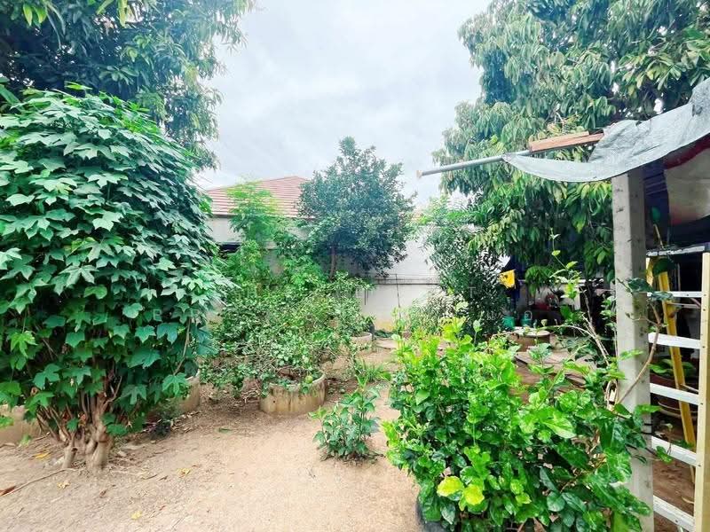 บ้านเดี่ยวพร้อมที่ดินท่ามะกา กาญจนบุรี, Kanchanaburi, Tha Rua, Tha Maka, Kanchanaburi, 3 Bedrooms, 100 sqm, Single Detached House For Sale, by The Best Property แอ้, 500474891 - DDproperty.com
