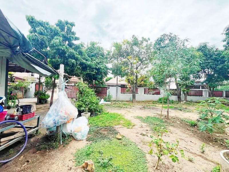 บ้านเดี่ยวพร้อมที่ดินท่ามะกา กาญจนบุรี, กาญจนบุรี, ท่าเรือ, ท่ามะกา, กาญจนบุรี, 100 ตร.ม., บ้านเดี่ยว ขาย, โดย The Best Property แอ้, 500474891 - DDproperty.com