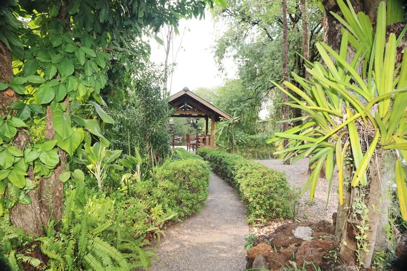 Thai Teak Home for Sale. 4 BRM 5 BTH, 3,932 sq mt Udon Thani, Udon Thani, Nong Na Kham, Muang Udon Thani, Udon Thani, 4 Bedrooms, 232 sqm, Single Detached House For Sale, by วีรภัทรา ดาร์เปอร์, 500474906 - DDproperty.com