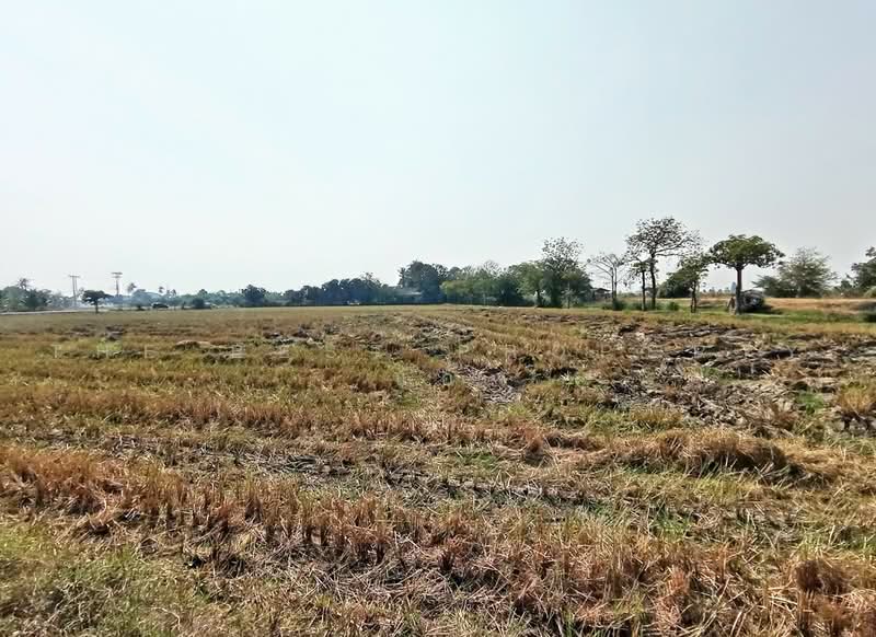 ที่ดินท่ามะกา กาญจนบุรี, กาญจนบุรี, ตะคร้ำเอน, ท่ามะกา, กาญจนบุรี, 9,768 ตร.ม., ที่ดิน ขาย, โดย The Best Property แอ้, 500474979 - DDproperty.com