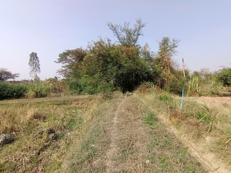 ที่ดินท่ามะกา กาญจนบุรี, Kanchanaburi, Ta Khram En, Tha Maka, Kanchanaburi, , 9,768 sqm, Land For Sale, by The Best Property แอ้, 500474979 - DDproperty.com