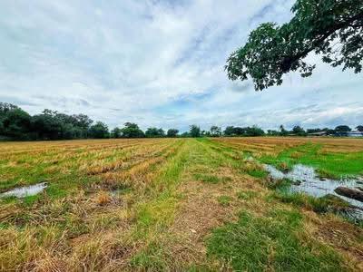 ขาย - ที่ดินท่ามะกา กาญจนบุรี, กาญจนบุรี