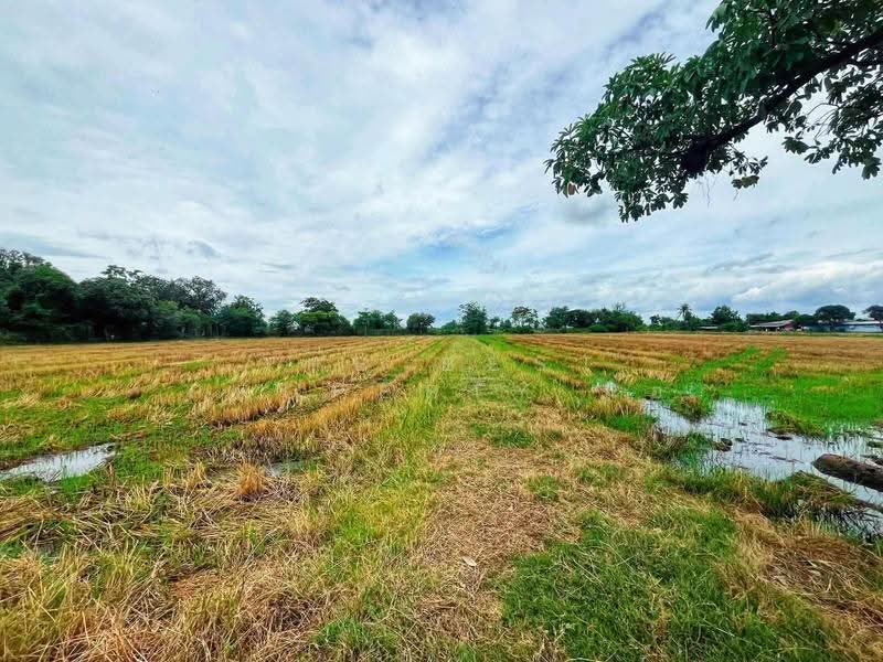 ที่ดินท่ามะกา กาญจนบุรี, กาญจนบุรี, ตะคร้ำเอน, ท่ามะกา, กาญจนบุรี, 9,768 ตร.ม., ที่ดิน ขาย, โดย The Best Property แอ้, 500474979 - DDproperty.com